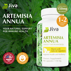 Label detail of Jiva Botanicals Artemisia Annua highlighting quality and ingredients.
