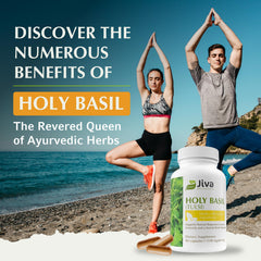 Jiva Botanicals Holy Basil extract capsule container with label emphasizing non-GMO.