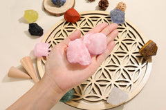 Jovivi rose quartz pair display, natural stones ready for décor and DIY projects.