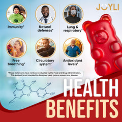 JOYLI Quercetin Gummies bottle label emphasizes 500mg quercetin and bromelain.