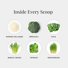 JSHealth Super Greens Powder mixed drink reveals a vibrant green beverage.