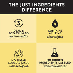 Just Ingredients Tropical Paradise Electrolytes mixer-ready bottle showing convenient hydration