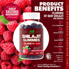Just Nutrients Shilajit Gummies close up texture for chewable intake.