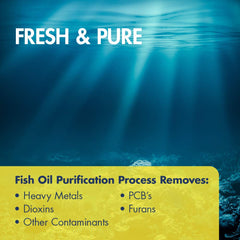KAL purification process close-up showing purity measures.