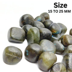 Karma Gems Labradorite stones on driftwood evoking grounding and aura protection