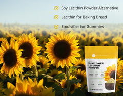 Kate Naturals lecithin powder gummies setup for smooth texture and candy making