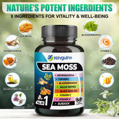 Kavguine capsule close-up showing ashwagandha, ginger and seaweed blend for vitality.