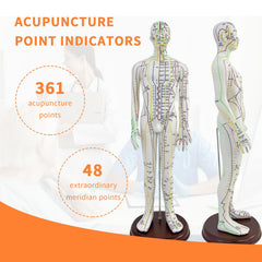 KDJFS needle practice on acupuncture mannequin improves technique.