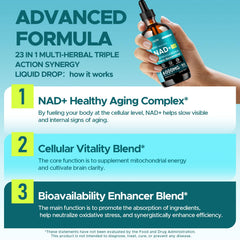 KEDISOM NAD with resveratrol, vitality support visual concept.