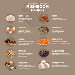 KeosPharma 10-in-1 mushroom blend label highlights cognitive support.