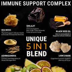 KEY ELEMENTS Lions Mane gummies aiding focus during work or study.