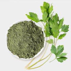 K-Herb Mugwort Powder with a scoop for precise measuring.