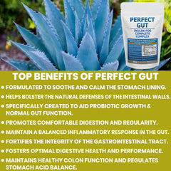 Scoop of Perfect Gut with measuring tool for versatile use