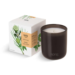 Kohler Sprig bergamot-lemongrass candle jar with uplifting citrus aroma.