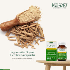 Kokora Ashwagandha powder and bottle illustrating triple‑concentrated formulation.