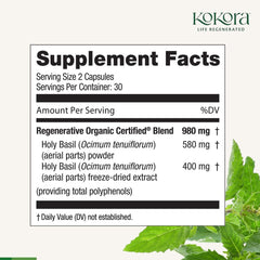Kokora Holy Basil powder jar shows triple-concentrated extract potential.
