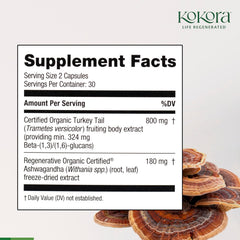 Kokora Turkey Tail Immune capsules arranged for convenient daily use.