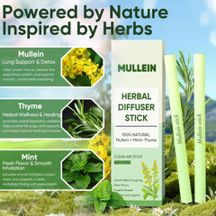 KOVGOCY Mullein Mint Thyme blend in use provides calming herbal scent.