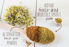 KOYAH freeze-dried broccoli sprouts process preserves active nutrients for easy everyday use