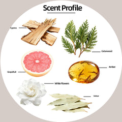 Woodsy cedarwood and vetiver aroma enhances calm spaces with balance.