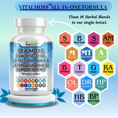 Kun Shafi VitalMoss capsules close-up highlighting an all-in-one herbal formula.