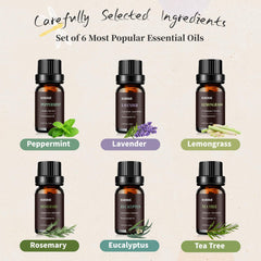 KURJIME essential oil set Lemongrass and Eucalyptus for revitalizing room sprays and cleaning blends