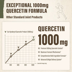 Kynderynl Quercetin 1000mg blend image emphasizing advanced absorption technology