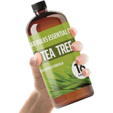 Lab Bulks Tea Tree Oil 16oz bottle for diffusers and DIY blends.
