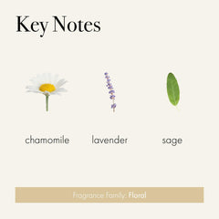 Scent profile of Chamomile Lavender notes for a soothing home fragrance.