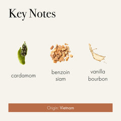 LAFCO New York Signature Candle Benzoin Siam close-up in a hand-blown glass vessel