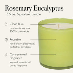 Close-up of rosemary eucalyptus aroma notes to evoke fresh, uplifting scent.