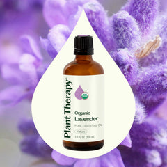 Lavender blooms and leaves with Plant Therapy branding for natural aroma.