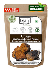 Leafy Organic Chaga powder in charcoal color, ideal for teas and smoothies with earthy flavor