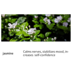 LEHOYIANG jasmine-diffuser-oil ready to enhance diffuser aroma and room comfort.