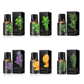 Lehoiyiang tea-tree essential oil bottle for diffuser blends and refreshing aromas.