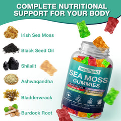 Letollhold Sea Moss Gummies with Ashwagandha and Bladderwrack for energy support.