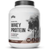 Levels Grass Fed Whey Chocolate Mocha powder ready for a smooth protein shake