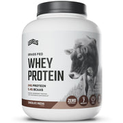 Levels Grass Fed Whey Chocolate Mocha powder ready for a smooth protein shake
