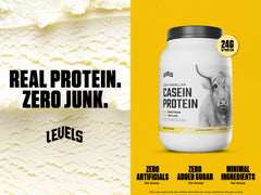 Levels Nutrition Vanilla Bean Casein scoop ready for slow-release nutrition.