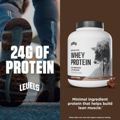 Levels Whey protein scoop delivering 24g protein per serving