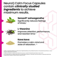 Capsules in hand representing LifeSeasons NeuroQ calm focus daily use.