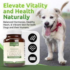 Lignans For Life dog coat glow emphasizing healthier-looking fur
