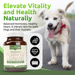 Lignans For Life bottle beside dog paw suggesting digestive comfort