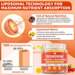 LILICARE Berberine Gummies packaging box signals vegan sugar free supplement for routines.