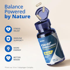 LincNutri cortisol balance hero scene implying daily stress support potential