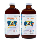 LIQUIDHEALTH Attention bottle front highlighting kid-friendly focus and mood support