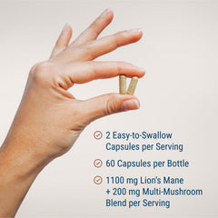 Live Conscious mushroom blend image emphasizes adaptogens for memory and clarity.
