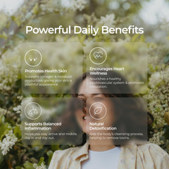 Livingood Daily Moringa capsules closeup emphasizes natural antioxidants for nourishing routines.
