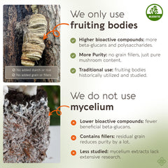 Longevity Botanicals fruiting-body agarikon slices emphasize authentic mushroom source.