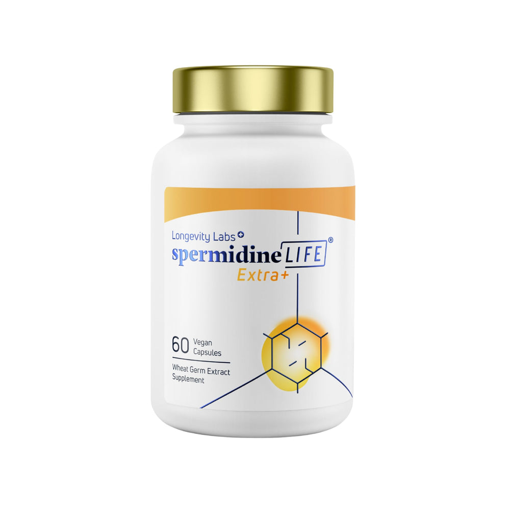 LONGEVITY LABS+ bottle closed showing SpermidineLIFE packaging for daily cellular support.